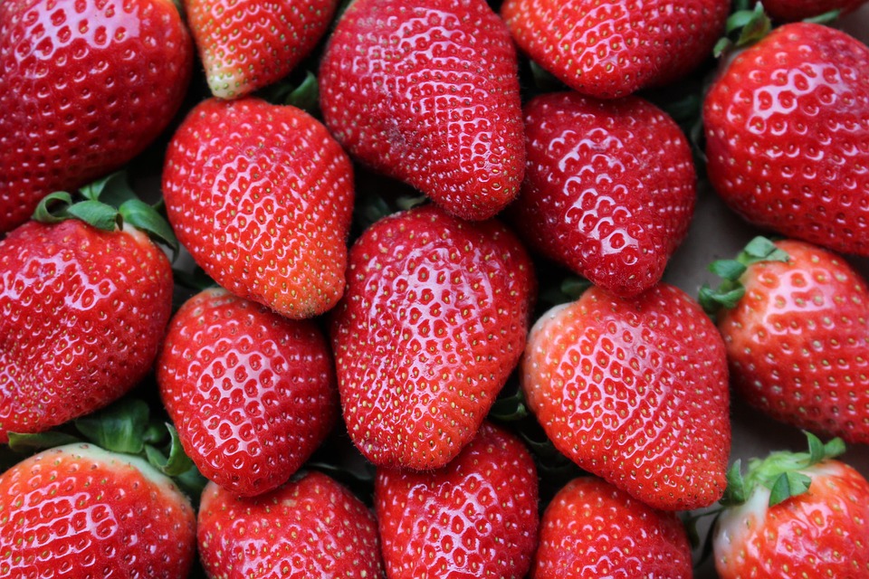 Dove Piantare le Fragole - Sole o Ombra